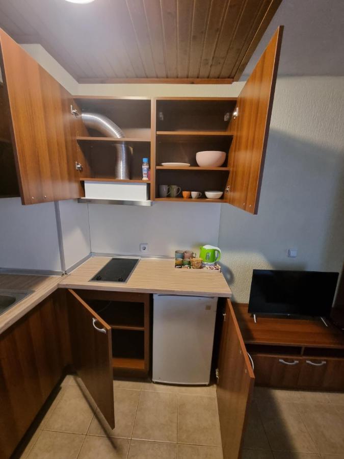 Cosy Apartments Within Walking Distance To Ski Lifts بانسكو المظهر الخارجي الصورة